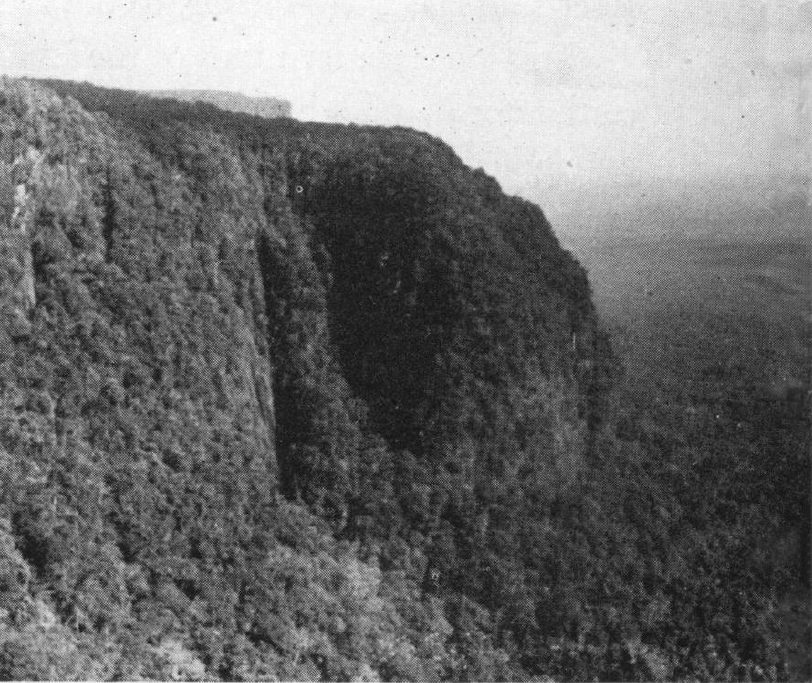 "Southwest scarp [of Tafelberg] where the wall is well over 300 meters high." Notes on the Geology and Geography of Tafelberg, Suriname by Bassett Maguire (1945)