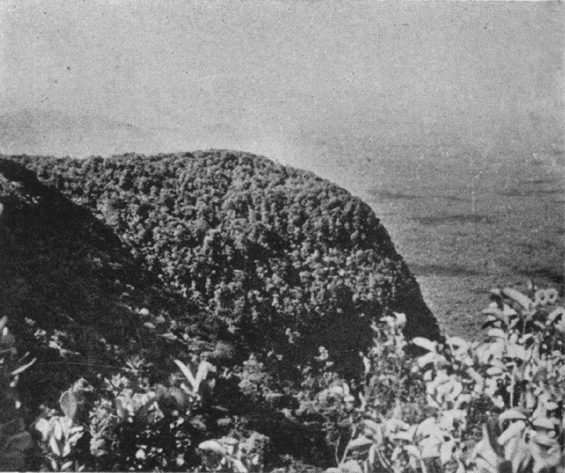 "East ridge [of Tafelberg] from the south; Schmidt Mt. and Emma Keten in left background; Saramacca Valley to the right." Notes on the Geology and Geography of Tafelberg, Suriname by Bassett Maguire (1945)