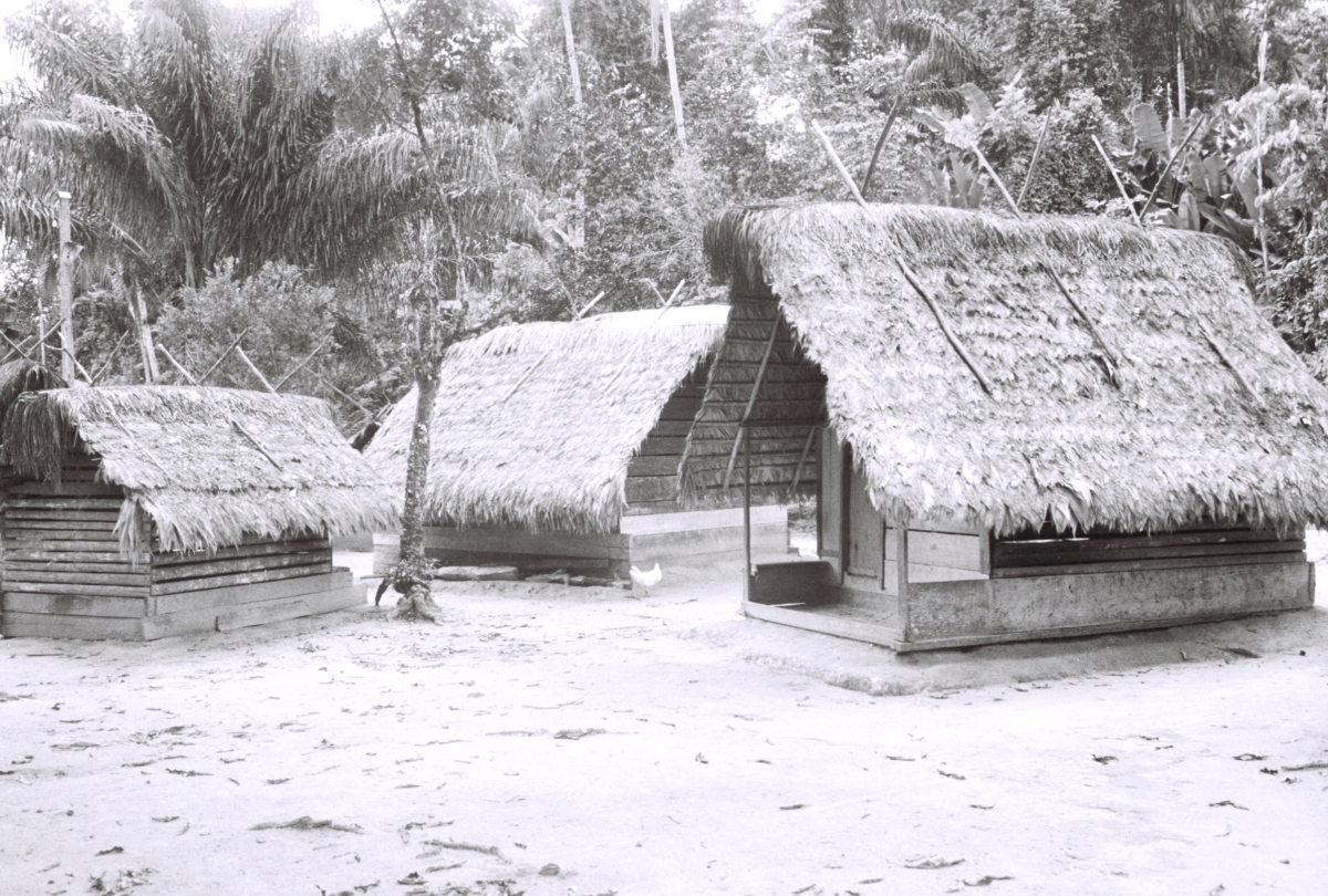 Source: Edward C. Green papers